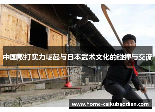 中国散打实力崛起与日本武术文化的碰撞与交流