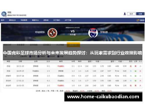 中国竞彩足球市场分析与未来发展趋势探讨：从玩家需求到行业政策影响