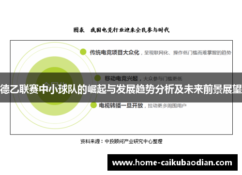 德乙联赛中小球队的崛起与发展趋势分析及未来前景展望
